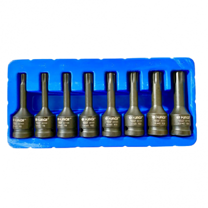 RIBE / SPLINE SOCKET SET